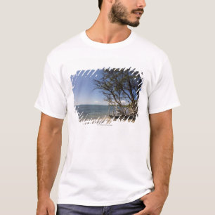 Camiseta Árbol en una playa a lo largo de la costa costa