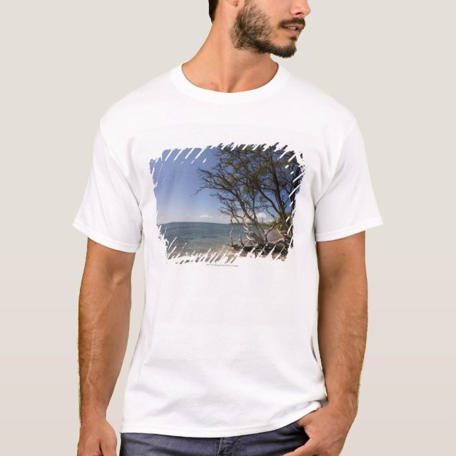 Camiseta Árbol en una playa a lo largo de la costa costa (Anverso)