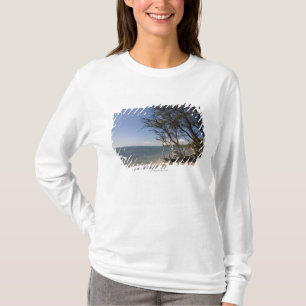 Camiseta Árbol en una playa a lo largo de la costa costa