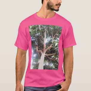 Camiseta Árbol grande dentro del bosque 1