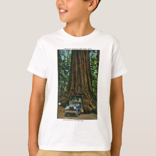 Camiseta Árbol grande Wawona, arboleda de Mariposa, CA