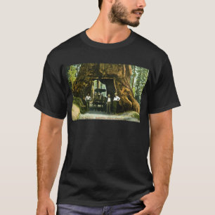 Camiseta Árbol grande Wawona, arboleda de Mariposa, vintag
