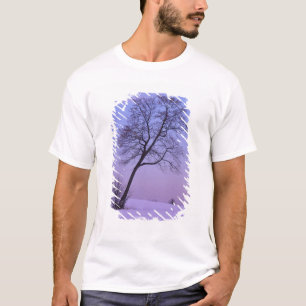 Camiseta Árbol inclinado en campo nevado; Condado de Chippe