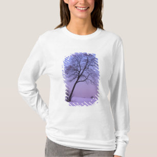 Camiseta Árbol inclinado en campo nevado; Condado de Chippe