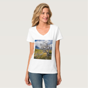 Camiseta Árbol quemado, Torres del Paine, Chile