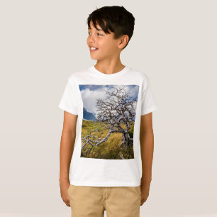 Camiseta Árbol quemado, Torres del Paine, Chile