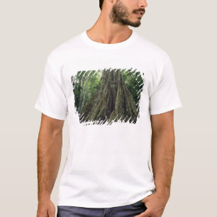 Camiseta Árbol reforzado en selva tropical, Corcovado