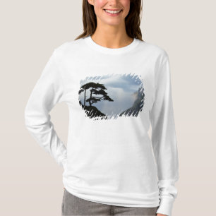 Camiseta Árbol silueteado al amanecer, Montaña Amarilla,