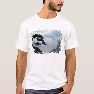 Camiseta Árbol silueteado al amanecer, Montaña Amarilla,