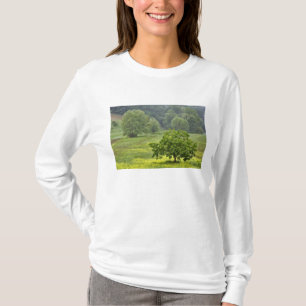 Camiseta Árbol solitario en campo agrícola, Toscana, 2