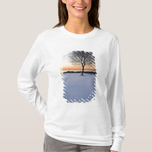 Camiseta Árbol solitario en nieve fresca en New Castle Comm