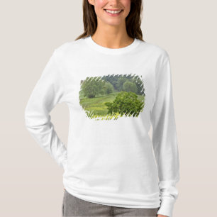 Camiseta Árbol único en el campo agrícola, Toscana, 2
