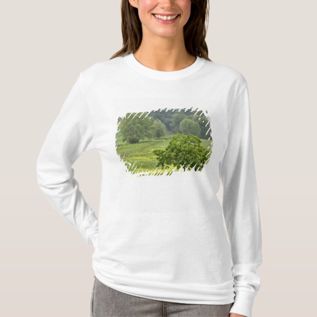 Camiseta Árbol único en el campo agrícola, Toscana, 2 (Anverso)