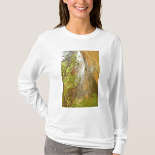 Camiseta Árbol y roca roja de cascada de estanque esmerald