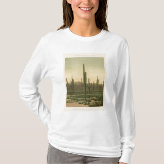 Camiseta Arboleda del cactus, Arizona