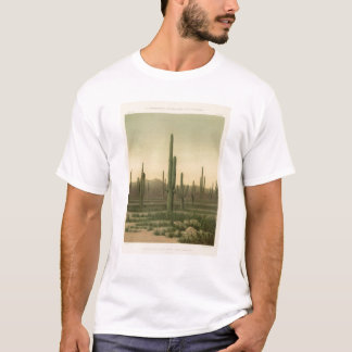 Camiseta Arboleda del cactus, Arizona