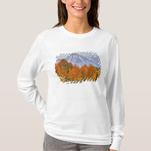 Camiseta Árboles abisales con la cordillera del Tetón