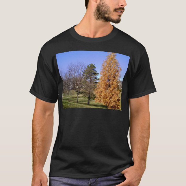 Camiseta Árboles caídos (Anverso)