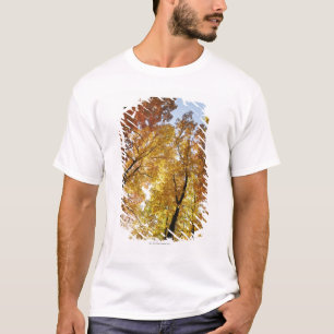 Camiseta Árboles coloridos