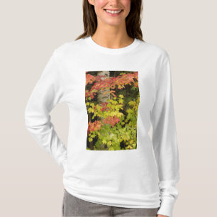 Camiseta Árboles de arce de otoño y abedul, Blanco