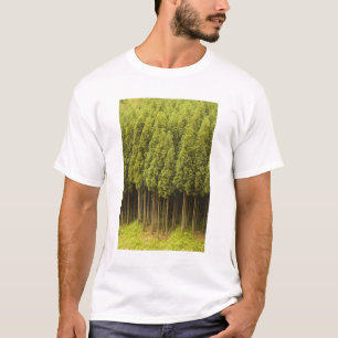 Camiseta Árboles de cedro de Koya Sugi