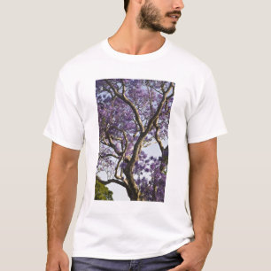 Camiseta Árboles de jacaranda en flor en New Farm Park,
