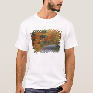 Camiseta Árboles de otoño alinean la carretera en Itasca St
