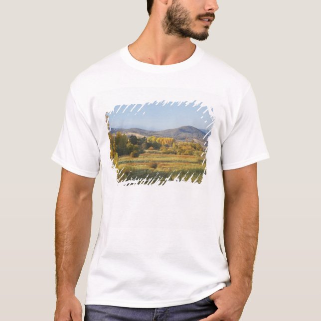 Camiseta Árboles de otoño, Khancoban, Montañas nevadas, nue (Anverso)