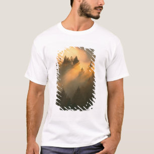 Camiseta Árboles de secoya en niebla costera, Condado de Ma