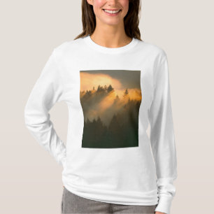 Camiseta Árboles de secuoya en niebla costera, Condado de M