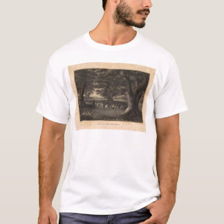 Camiseta Árboles de Tutui, Hawaii