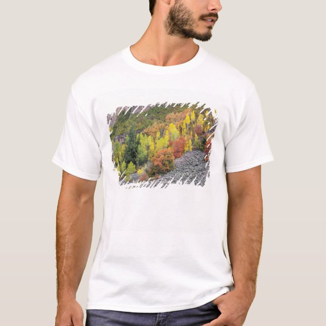 Camiseta Árboles del río Provo y álamos (Anverso)