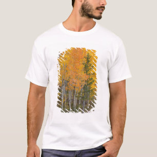Camiseta Árboles del río Provo y álamos