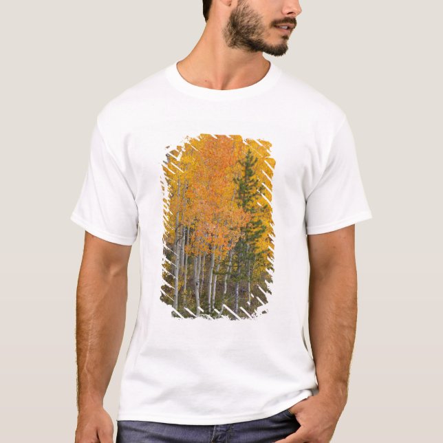 Camiseta Árboles del río Provo y álamos (Anverso)