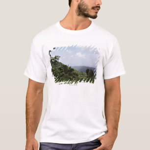 Camiseta Árboles en una selva tropical, selva tropical del