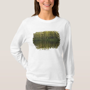 Camiseta Árboles reflejados en el agua