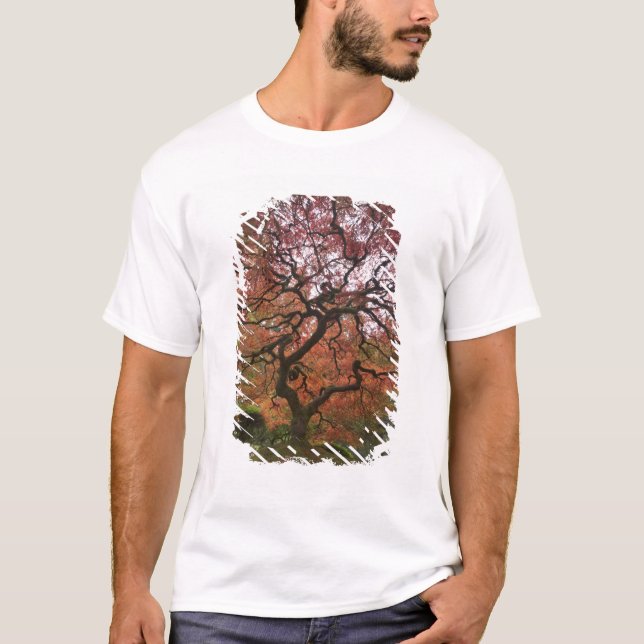 Camiseta Arce japonés en color de otoño (Anverso)