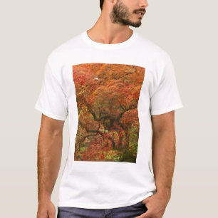 Camiseta Arce japonés en color de otoño