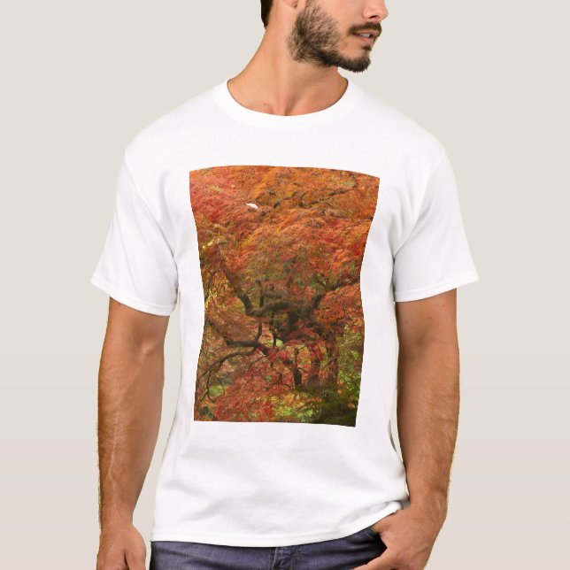 Camiseta Arce japonés en color de otoño (Anverso)