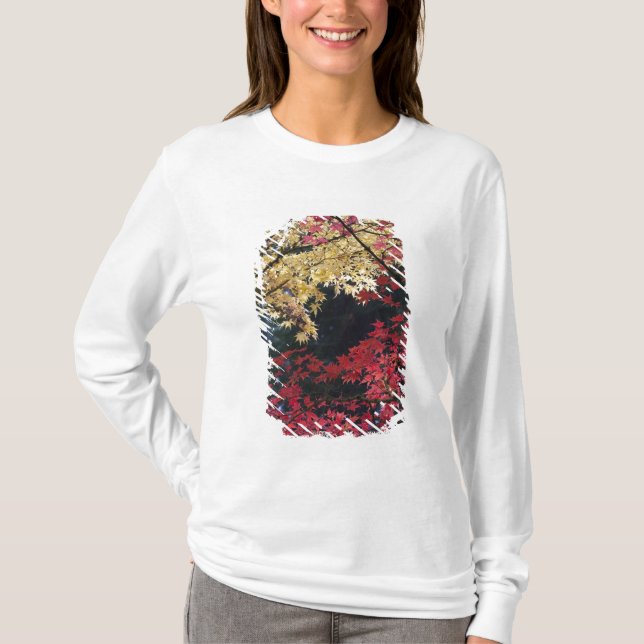 Camiseta Arces en color de otoño (Anverso)