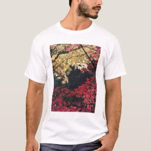 Camiseta Arces en color de otoño