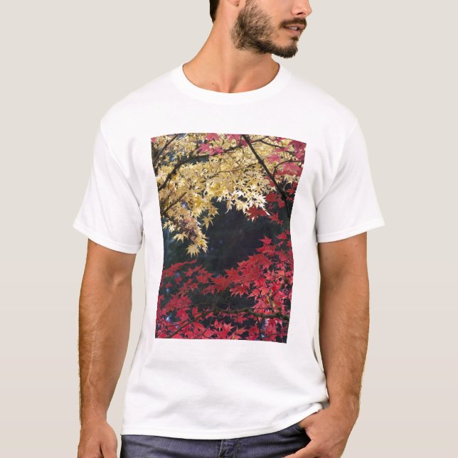 Camiseta Arces en color de otoño (Anverso)