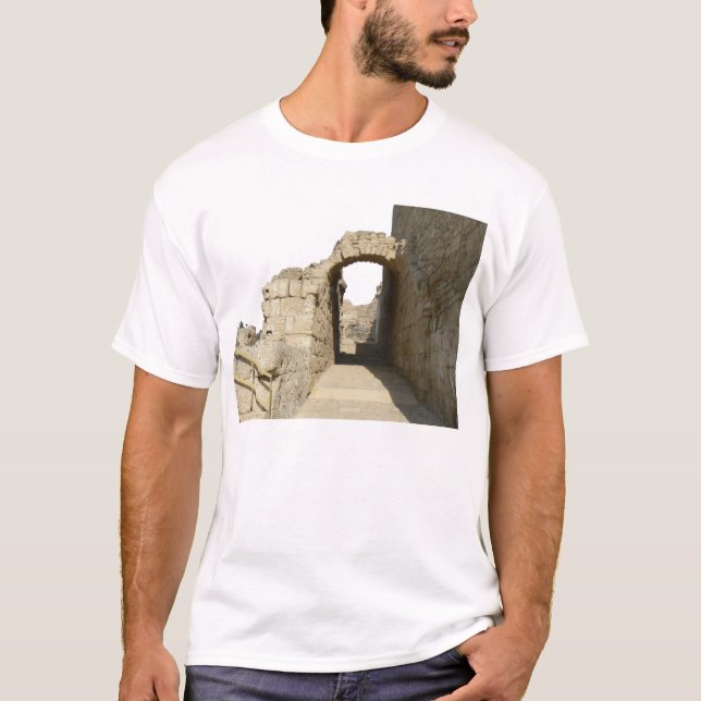 Camiseta Arco de Caesarea antigua (Anverso)