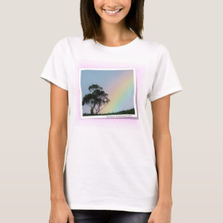 Camiseta Arco iris de Braidwood