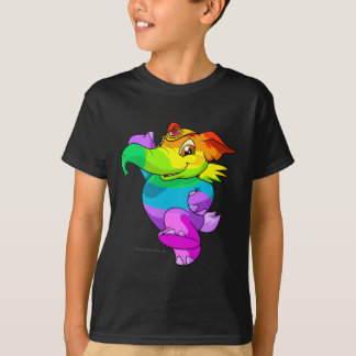 Camiseta Arco iris de Elephante