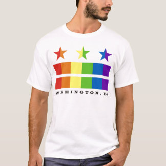 Camiseta Arco iris de la bandera de DC con el texto