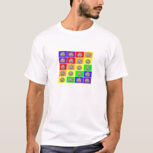 Camiseta Arco iris del erizo