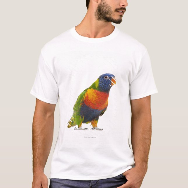 Camiseta Arco iris femenino Lorikeet - Trichoglossus (Anverso)