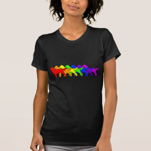 Camiseta Arco iris Flatcoat