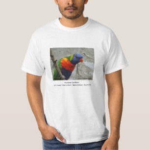 Camiseta Arco iris Lorikeet